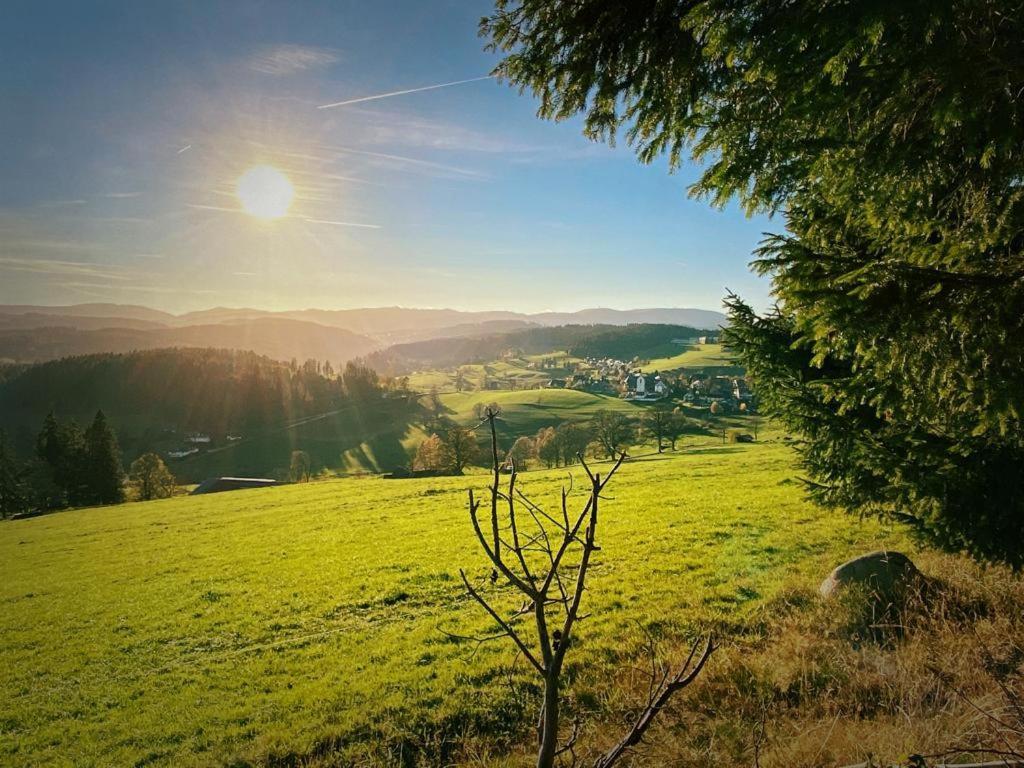 Gaestehaus Steiert Fewo Kuhbergblick Lenzkirch Eksteriør billede