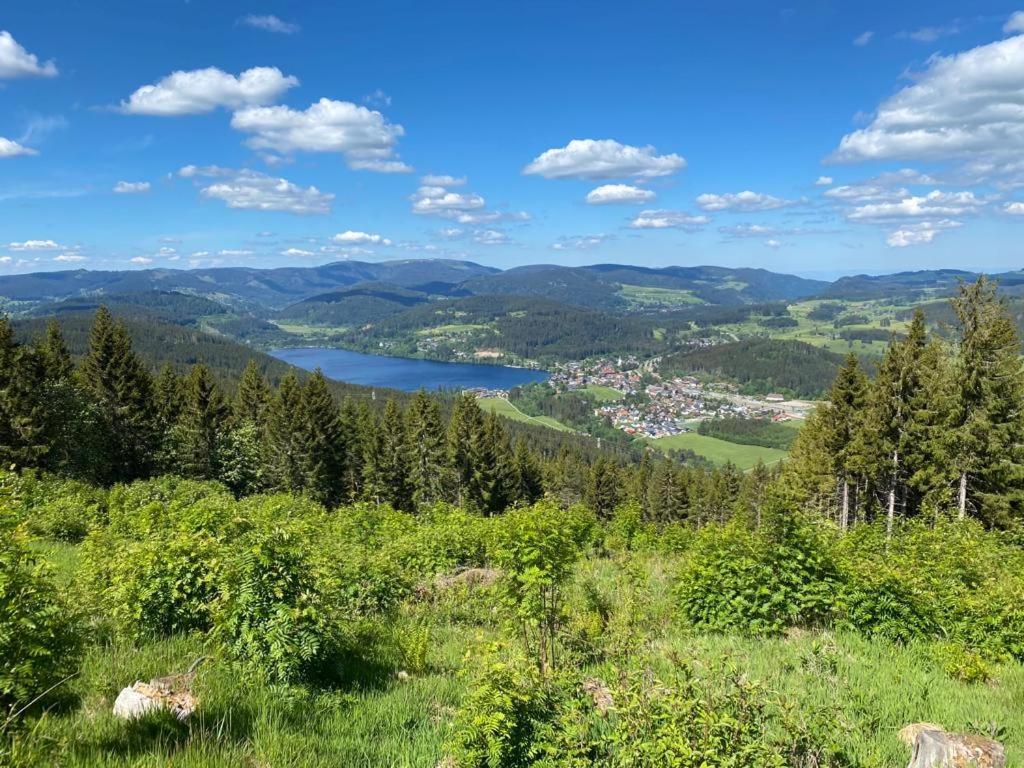 Gaestehaus Steiert Fewo Kuhbergblick Lenzkirch Eksteriør billede